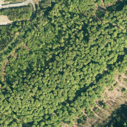 Satellite imagery of Westeregge, DE