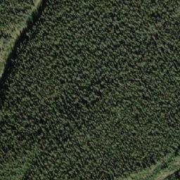 Satellite imagery of Mount Stelfox, CA