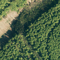 Satellite imagery of Westeregge, DE