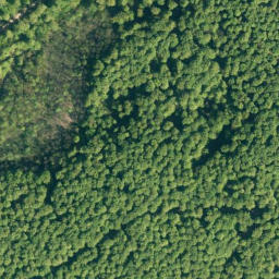 Satellite imagery of Hoher Kamp, DE