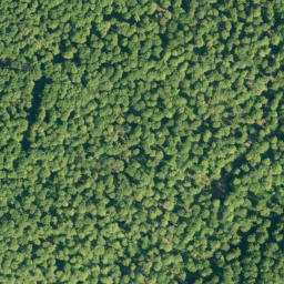 Satellite imagery of Hoher Kamp, DE