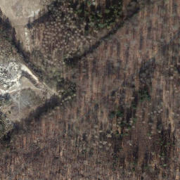Satellite imagery of Steinkuhlenberg, DE