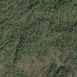 Satellite imagery of Denniston Point, CA
