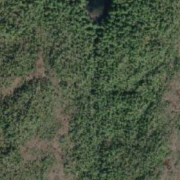 Satellite imagery of Denniston Point, CA