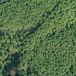 Satellite imagery of Hoher Kamp, DE