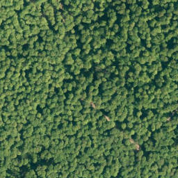 Satellite imagery of Hoher Kamp, DE