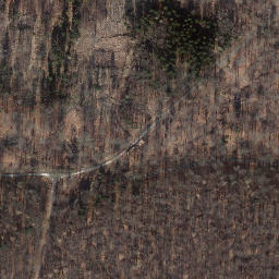 Satellite imagery of Steinkuhlenberg, DE