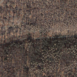 Satellite imagery of Steinkuhlenberg, DE