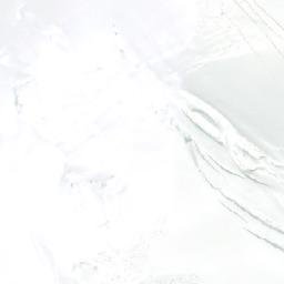 Satellite imagery of North Twin, CA