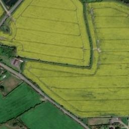 Satellite imagery of Butlerstown Castle, IE