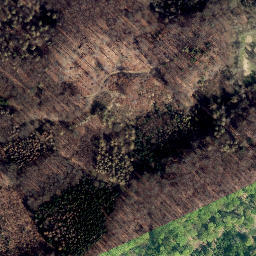 Satellite imagery of Papenbrink, DE