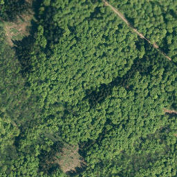 Satellite imagery of Hoher Kamp, DE