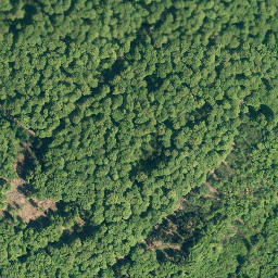 Satellite imagery of Hoher Kamp, DE