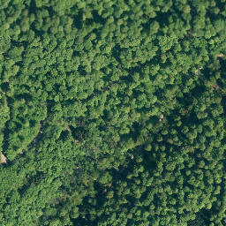 Satellite imagery of Hoher Kamp, DE