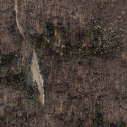 Satellite imagery of Steinkuhlenberg, DE