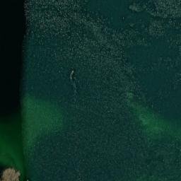 Satellite imagery of Dębiak, PL