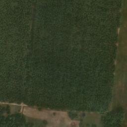 Satellite imagery of Tränkenberg, DE