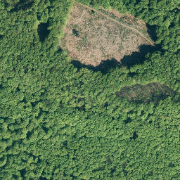 Satellite imagery of Hainholz, DE