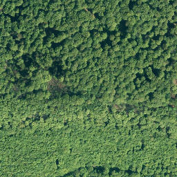 Satellite imagery of Hainholz, DE