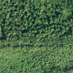 Satellite imagery of Hainholz, DE