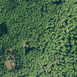 Satellite imagery of Schloss Arensburg, DE
