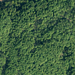 Satellite imagery of Hohes Rad, DE