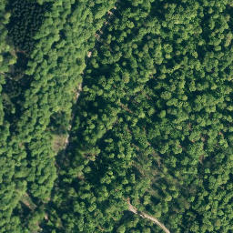 Satellite imagery of Hohes Rad, DE