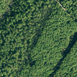 Satellite imagery of Hohes Rad, DE