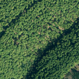 Satellite imagery of Hohes Rad, DE