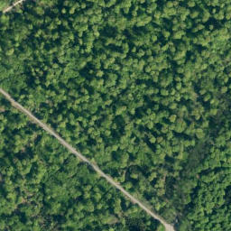 Satellite imagery of Hohes Rad, DE