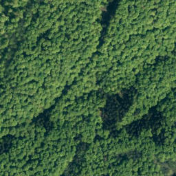 Satellite imagery of Hohes Rad, DE