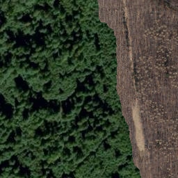 Satellite imagery of Kiefelhorn, DE