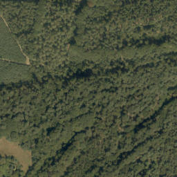 Satellite imagery of De Hoge Vuursche, NL
