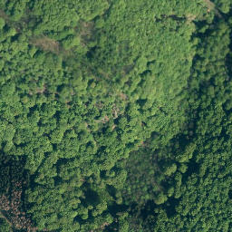 Satellite imagery of Schrabstein, DE