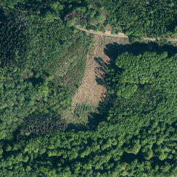 Satellite imagery of Amelungsberg, DE