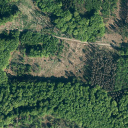 Satellite imagery of Amelungsberg, DE