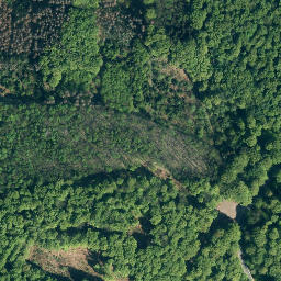 Satellite imagery of Amelungsberg, DE