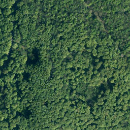 Satellite imagery of Riesenberg, DE