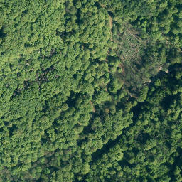 Satellite imagery of Hohenstein, DE