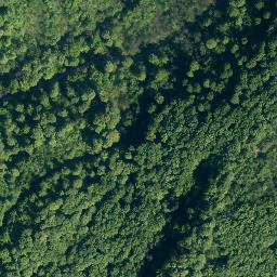 Satellite imagery of Hohenstein, DE
