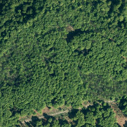 Satellite imagery of Hohenstein, DE