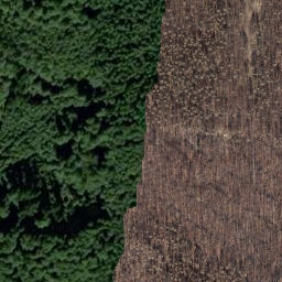 Satellite imagery of Herzberg, DE