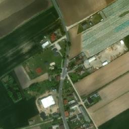 Satelita
