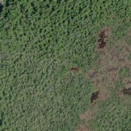 Satellite imagery of Cheney Point, CA