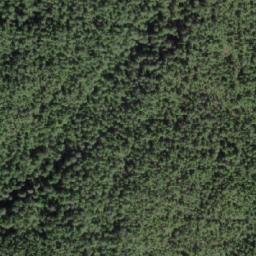 Satellite imagery of Penny Point, CA