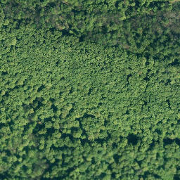 Satellite imagery of Amelungsberg, DE