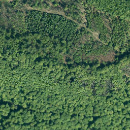 Satellite imagery of Amelungsberg, DE