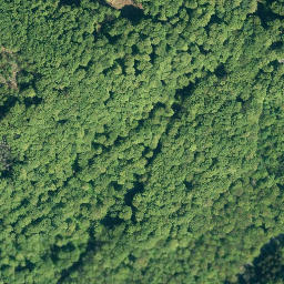 Satellite imagery of Amelungsberg, DE