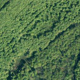 Satellite imagery of Wenchenberg, DE