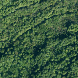Satellite imagery of Wenchenberg, DE